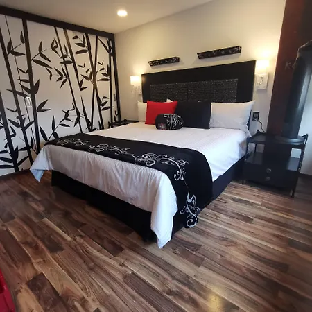 Hotel Black Boutique-2